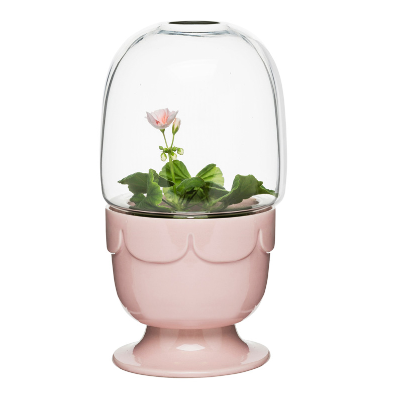 Serre, Sagaform — Rose dragée
