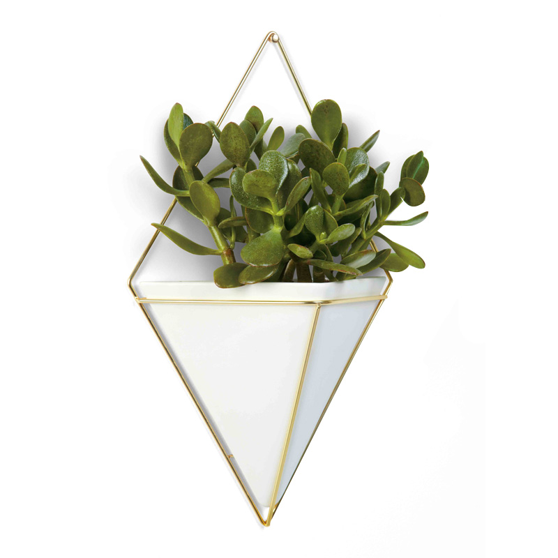 Rangement mural, Diamant Trigg — Doré, Ponio