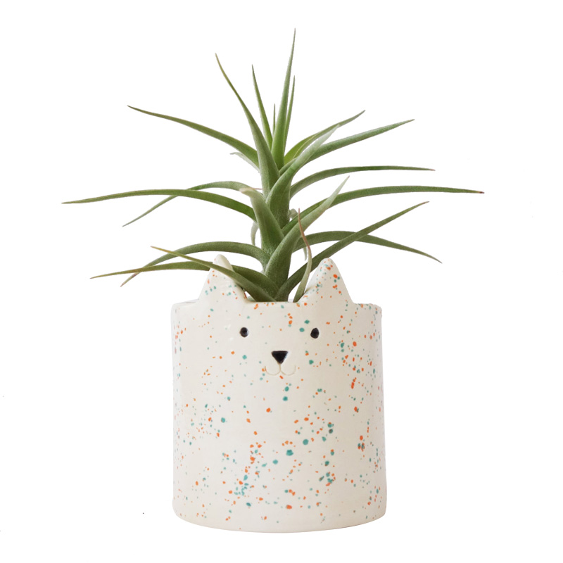 Cache-pot Chat, Minky Moo Ceramics — Arc-en-ciel, Ponio