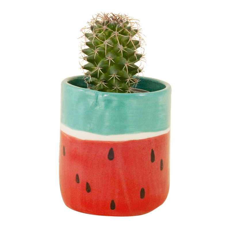 Cache-pot, Things by Bea — Rouge Coquelicot, Ponio